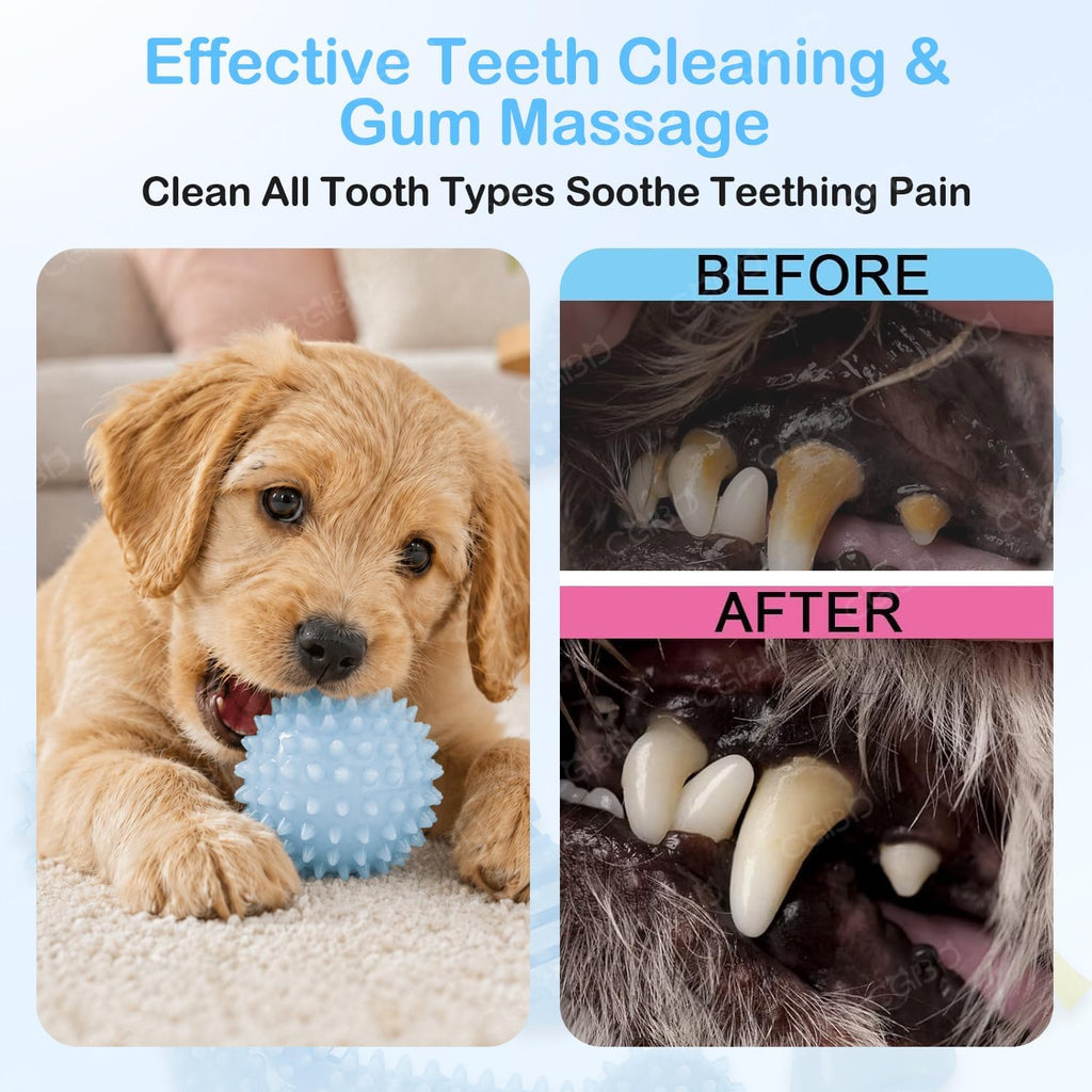 6 Pack Red Dog Chew Toys, Small Dog Teething Toys, Dental Health & Interactive Play